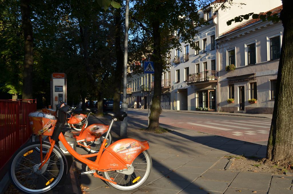 Dora Apartment Uzupis Vilnius Cameră foto